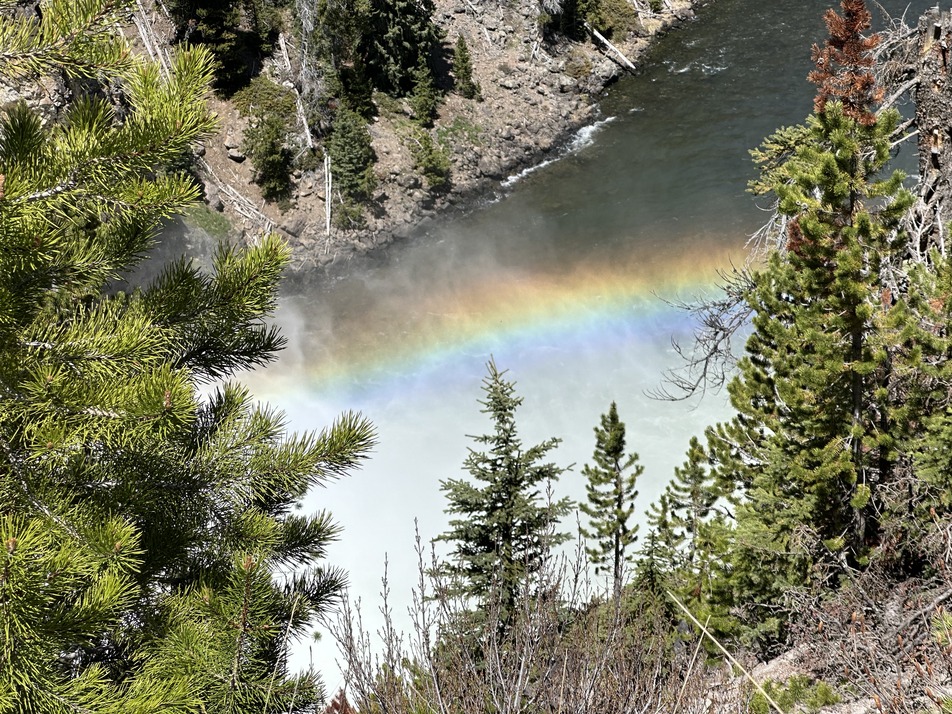 Road trip photo 21