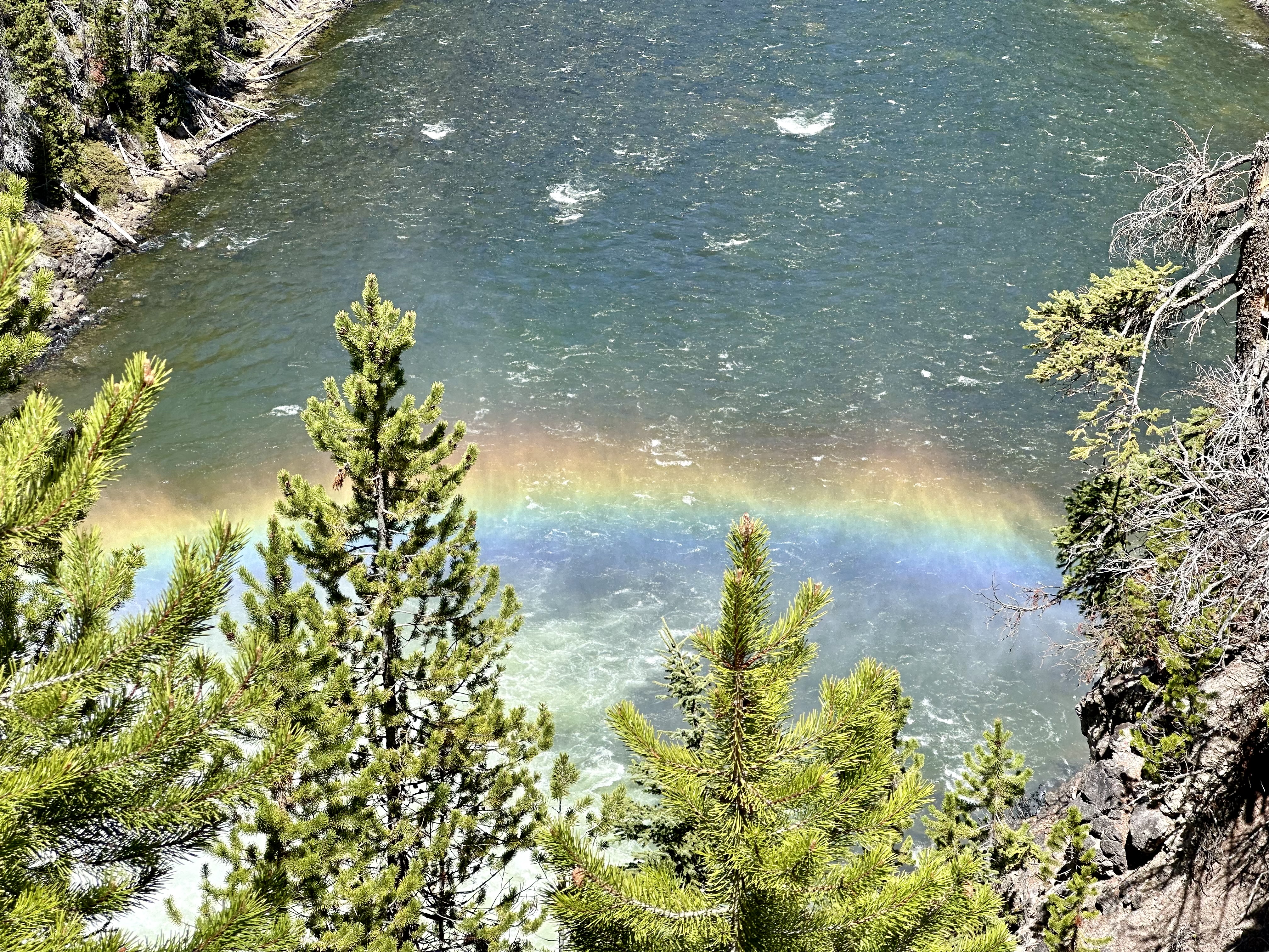 Road trip photo 23