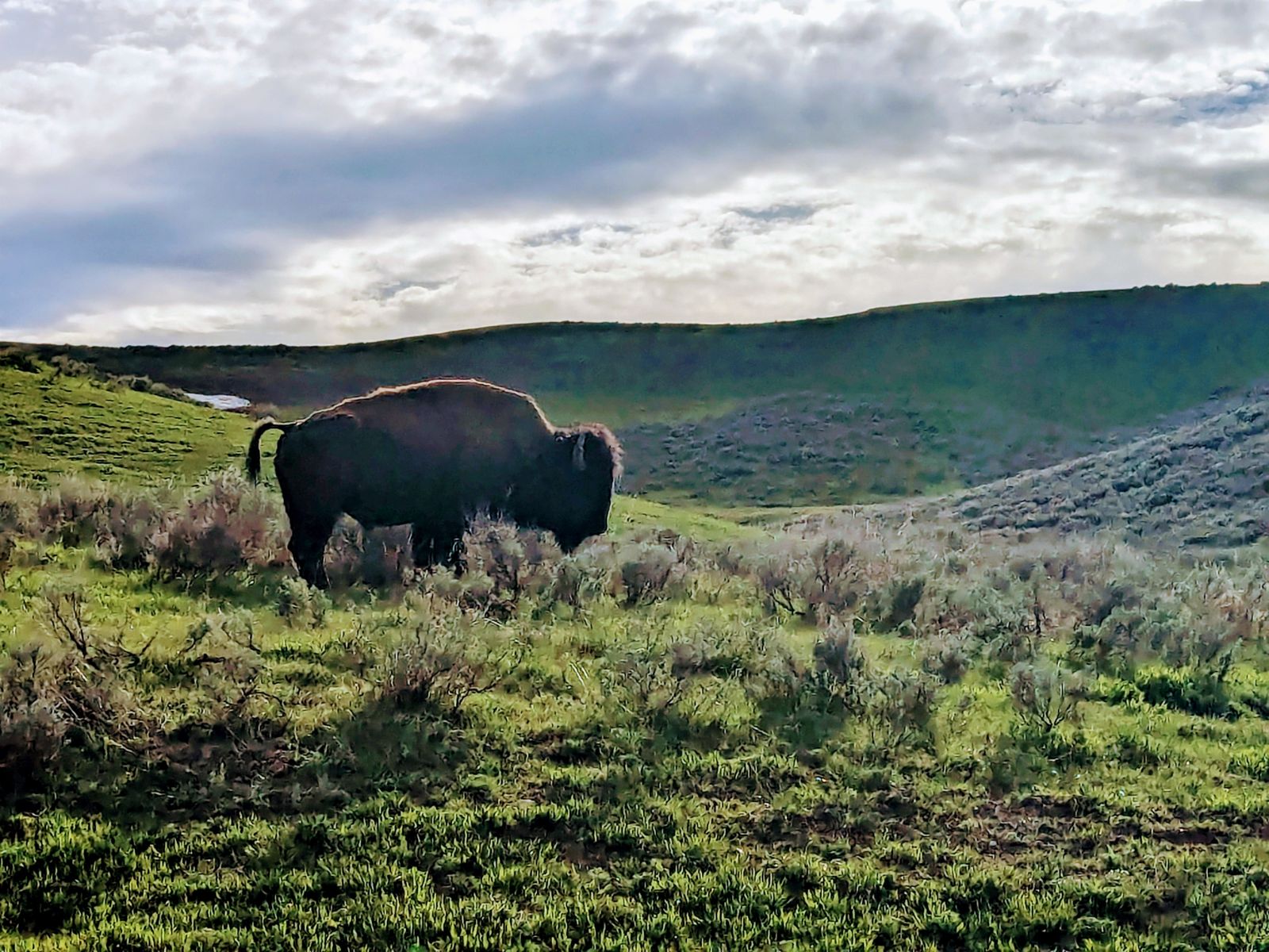 Road trip photo 32